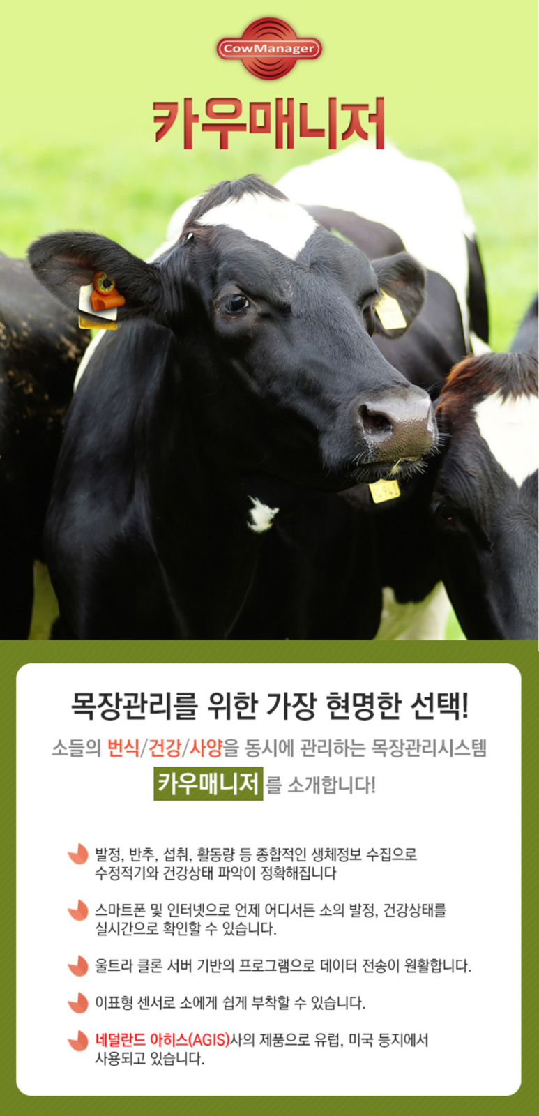 황소축산 이미지