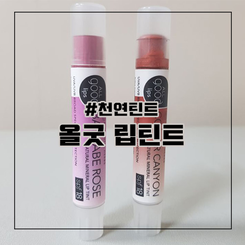 올굿 이미지