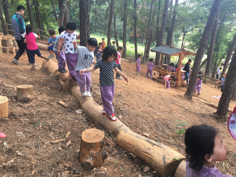 금마 서동공원 유아숲체험원 이미지