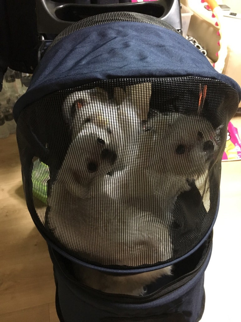 에이플러스케이 이미지