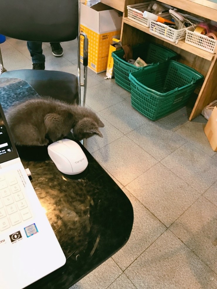 알파고당구클럽 이미지
