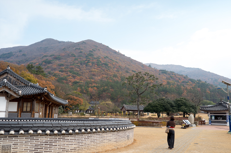 진도순대 이미지