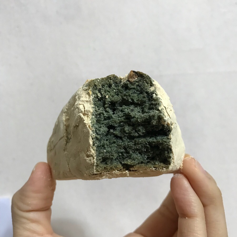 리꼬비 이미지