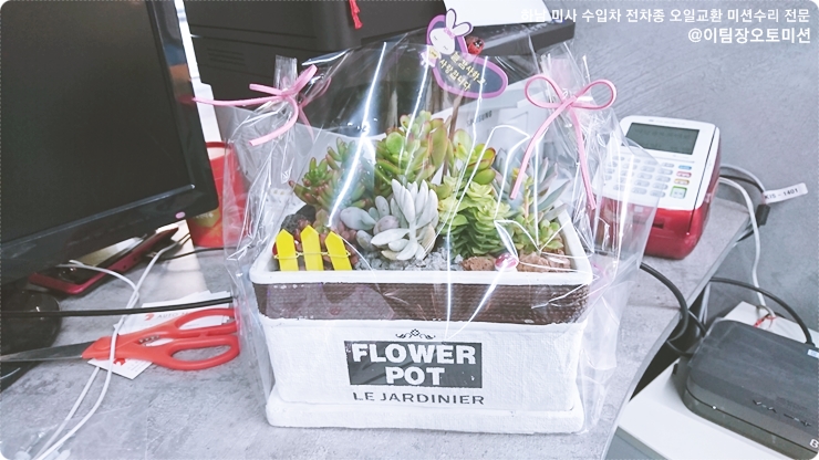 메이븐오토미션 이미지