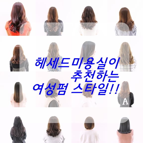 헤세드헤어 이미지