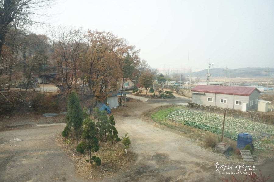 바보오리농장 이미지