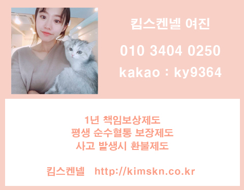 셀커시 이미지