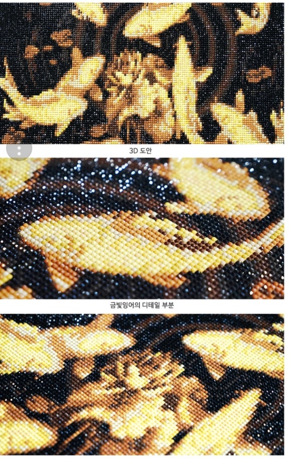 금빛잉어 이미지