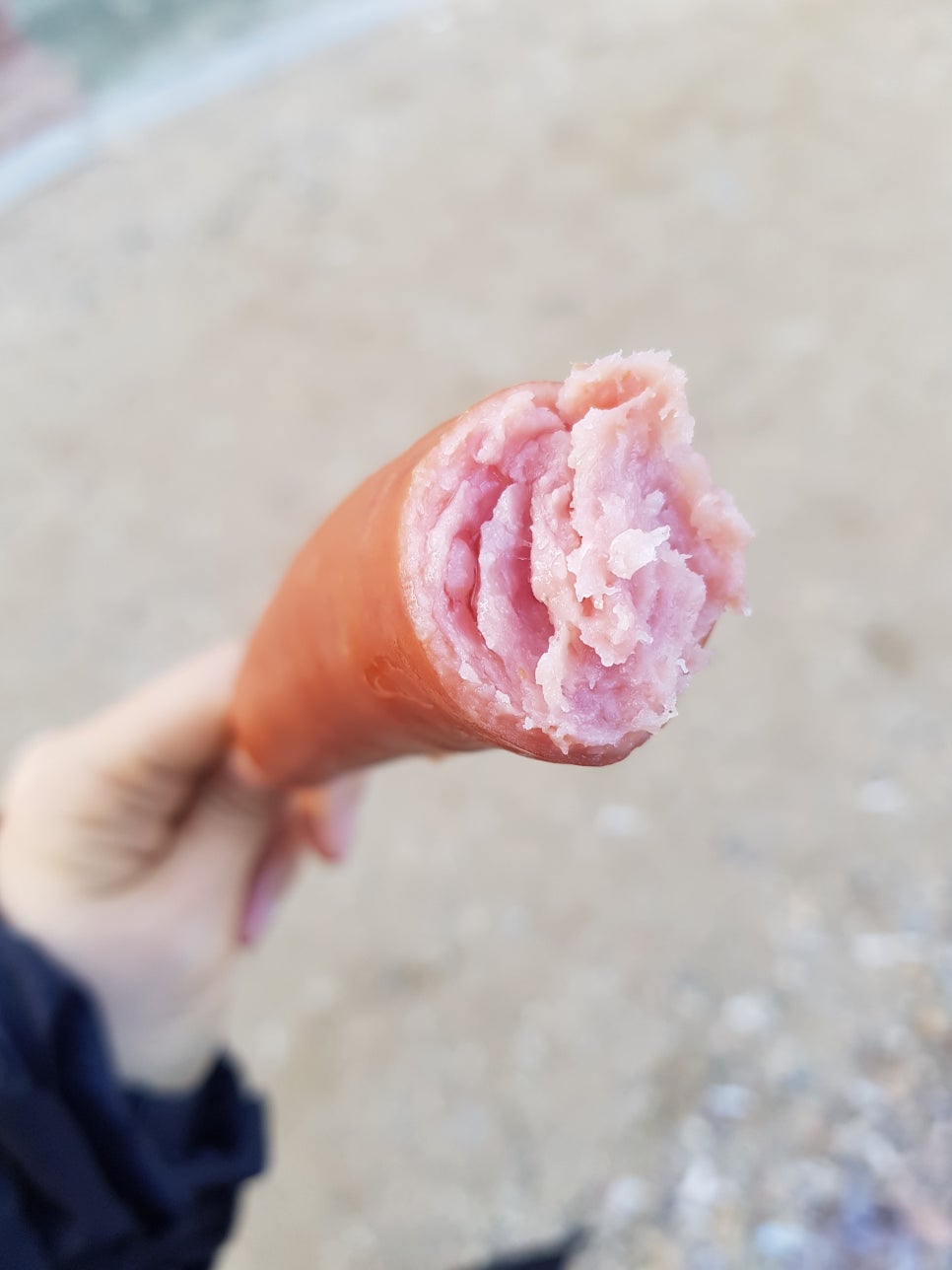 꿈이 자라는 집 : 네이버 블로그