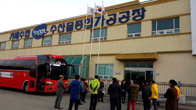 진도종합식품 이미지