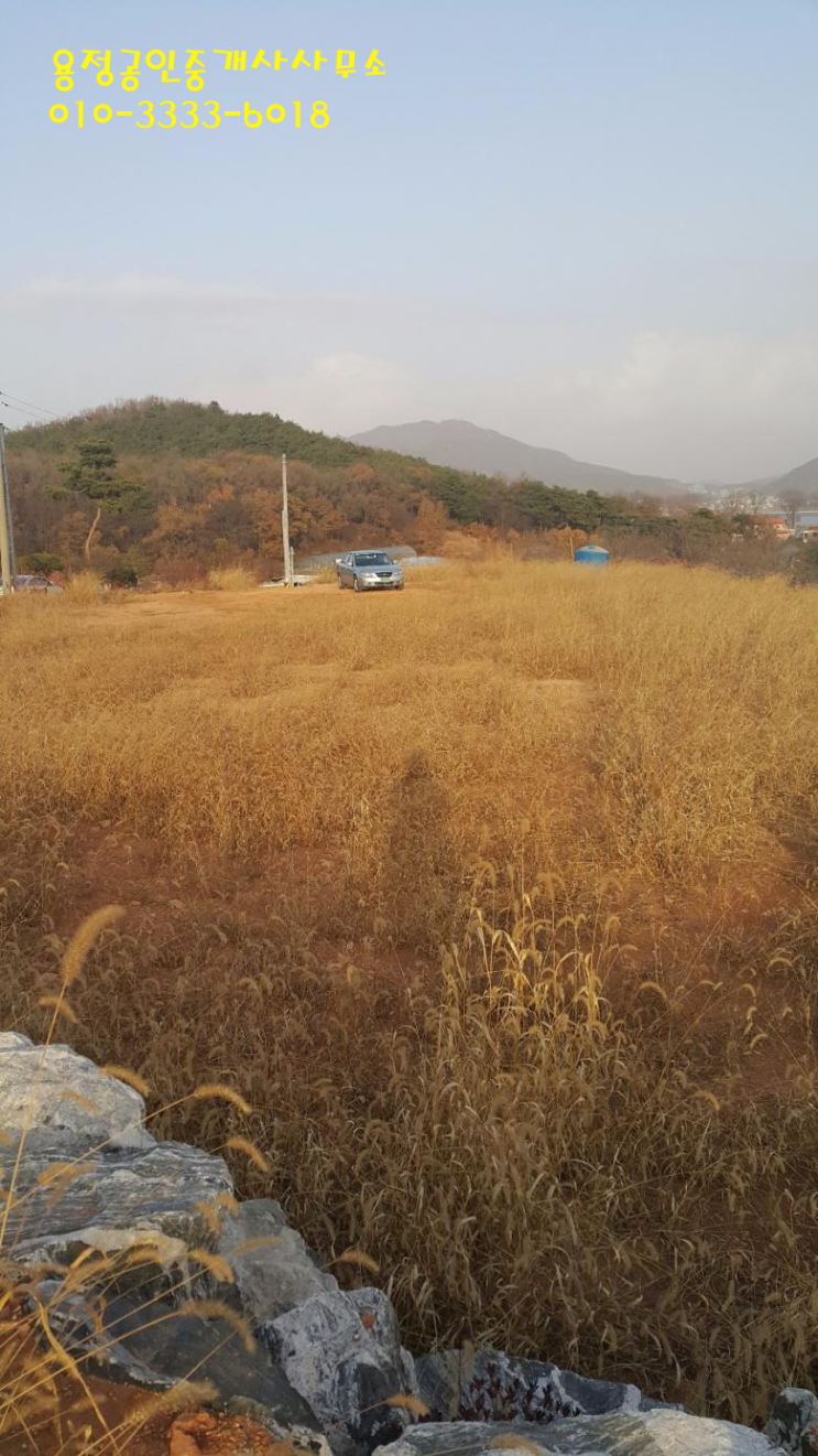 용정마트 이미지