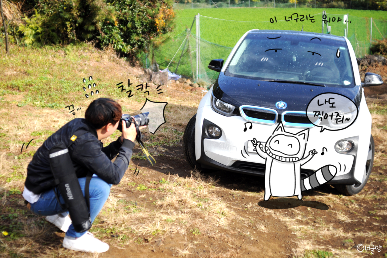 블루렌트카주 이미지
