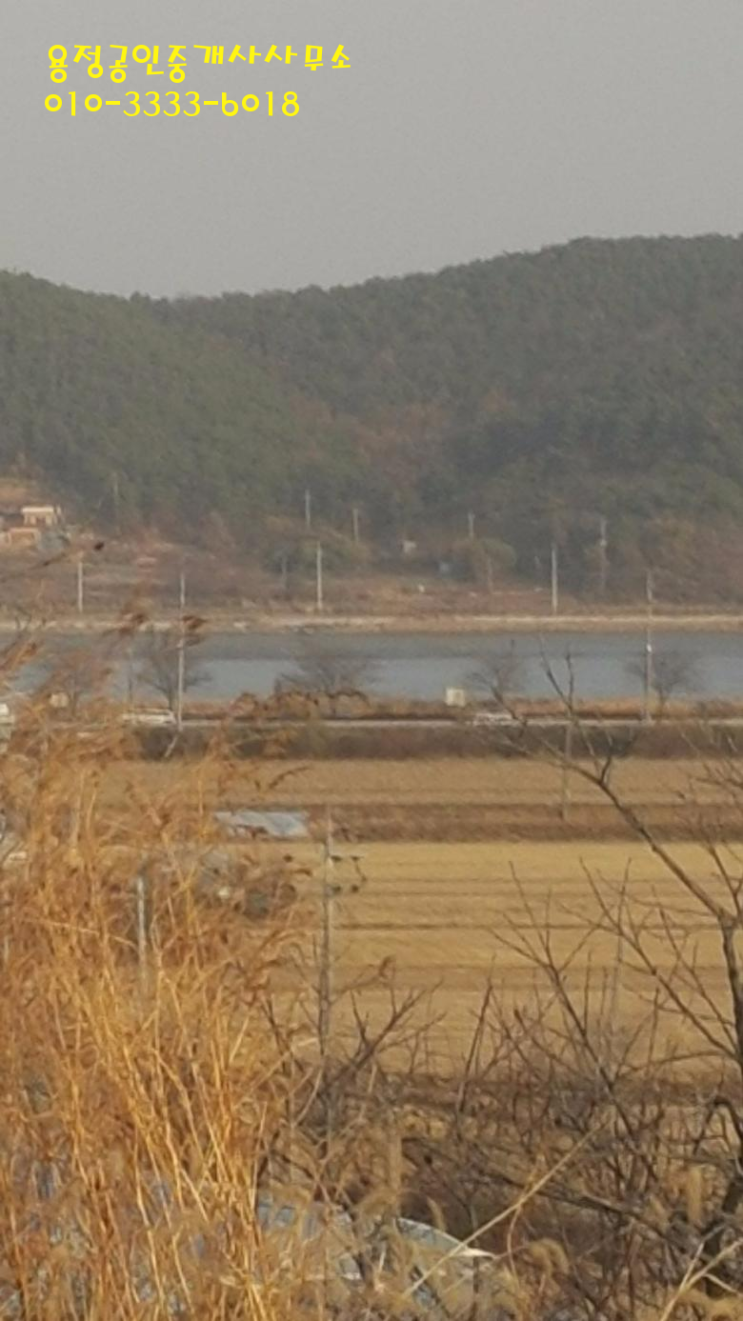 용정마트 이미지