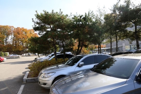 아빠고기 이미지
