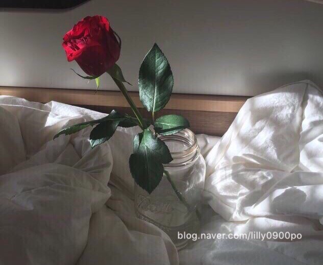 장미맨숀 이미지