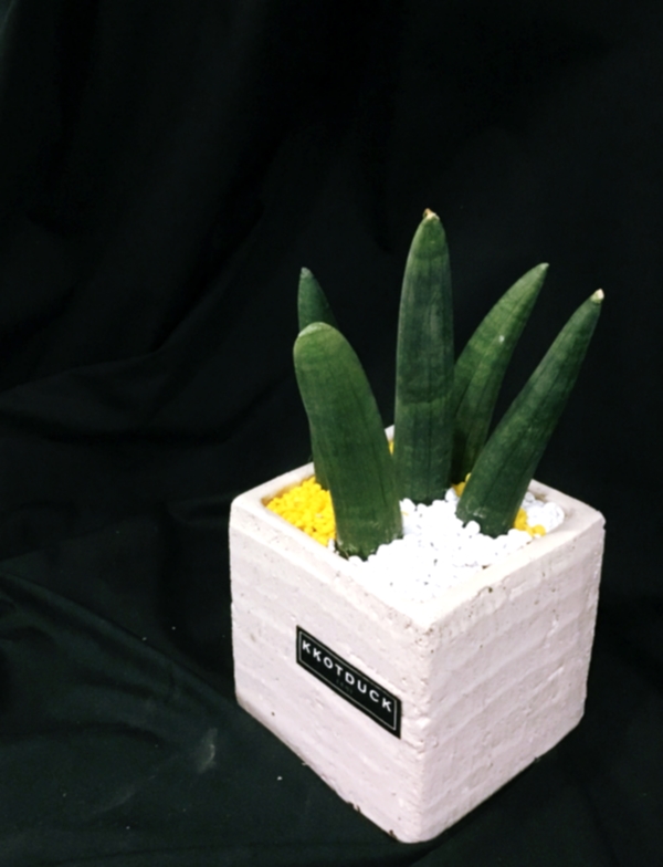 꽃덕 이미지