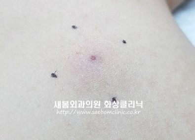 새봄의원 이미지