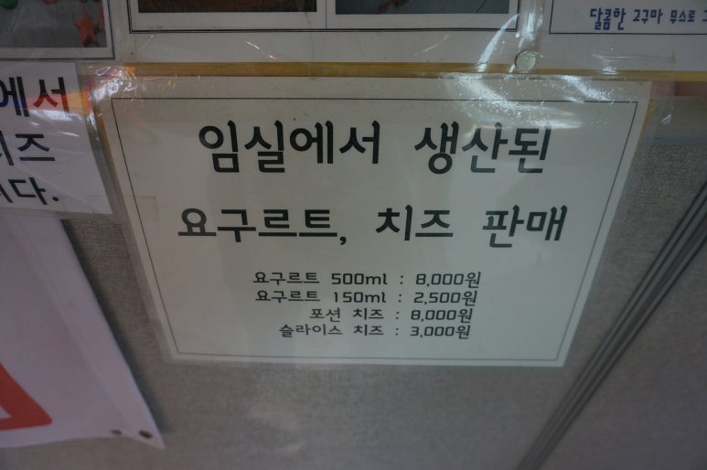경주치즈학교 이미지