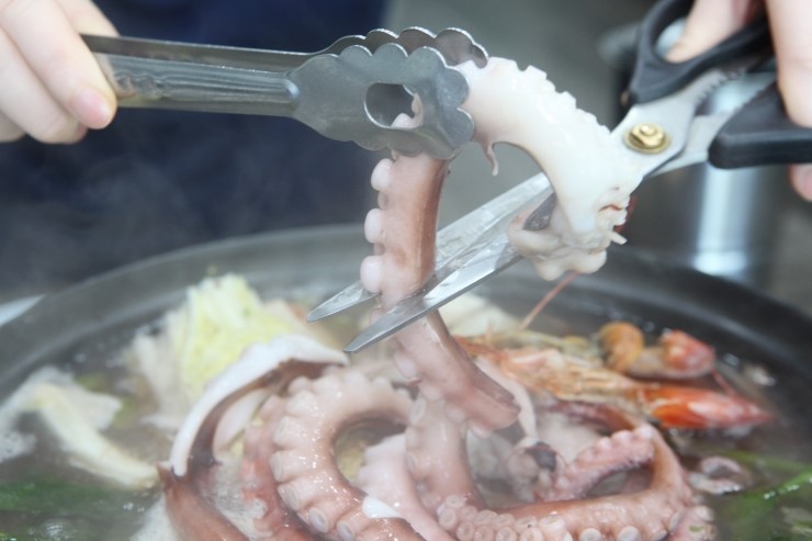 엄청난낙지 이미지