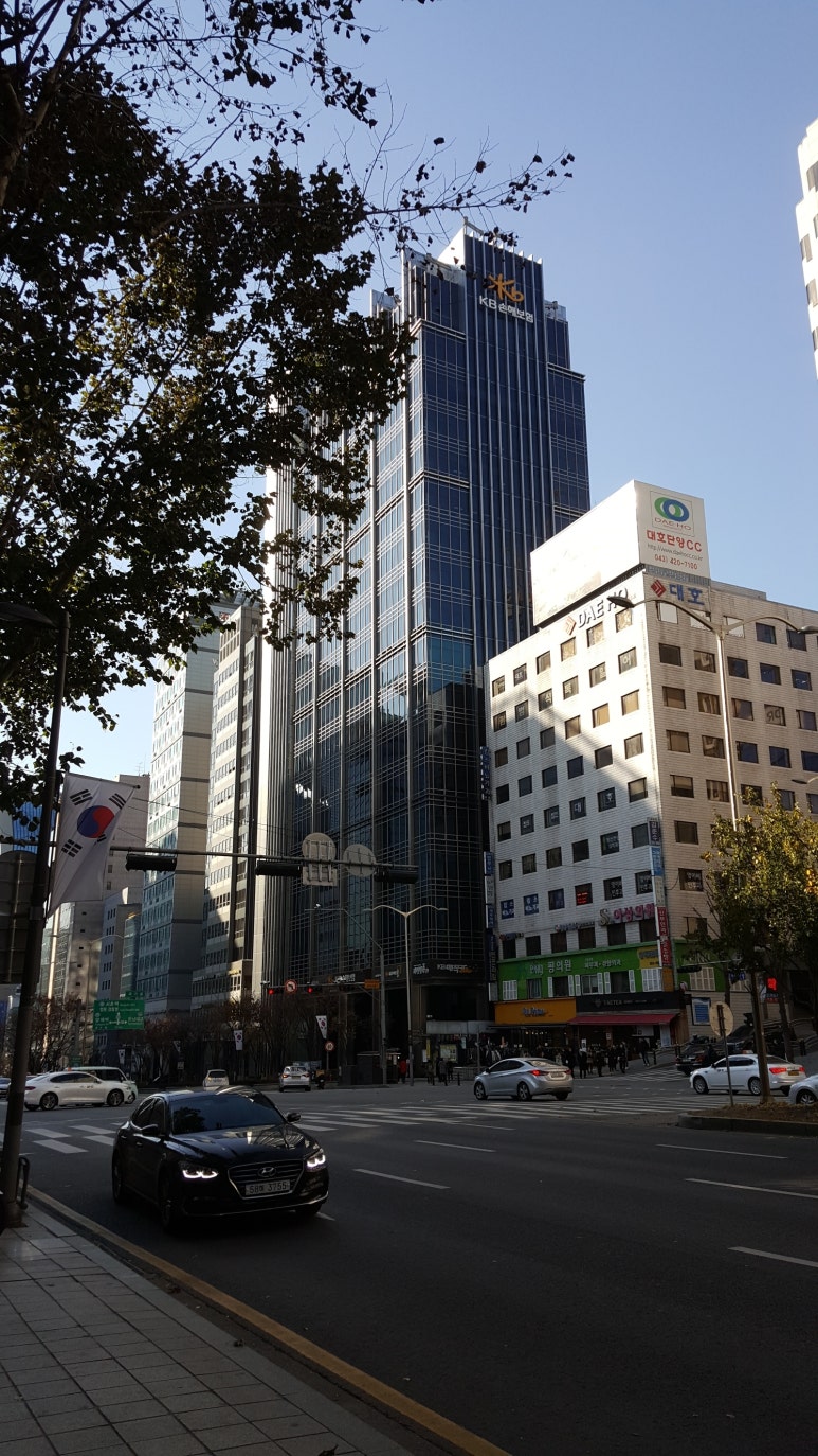 베이징코야주 이미지