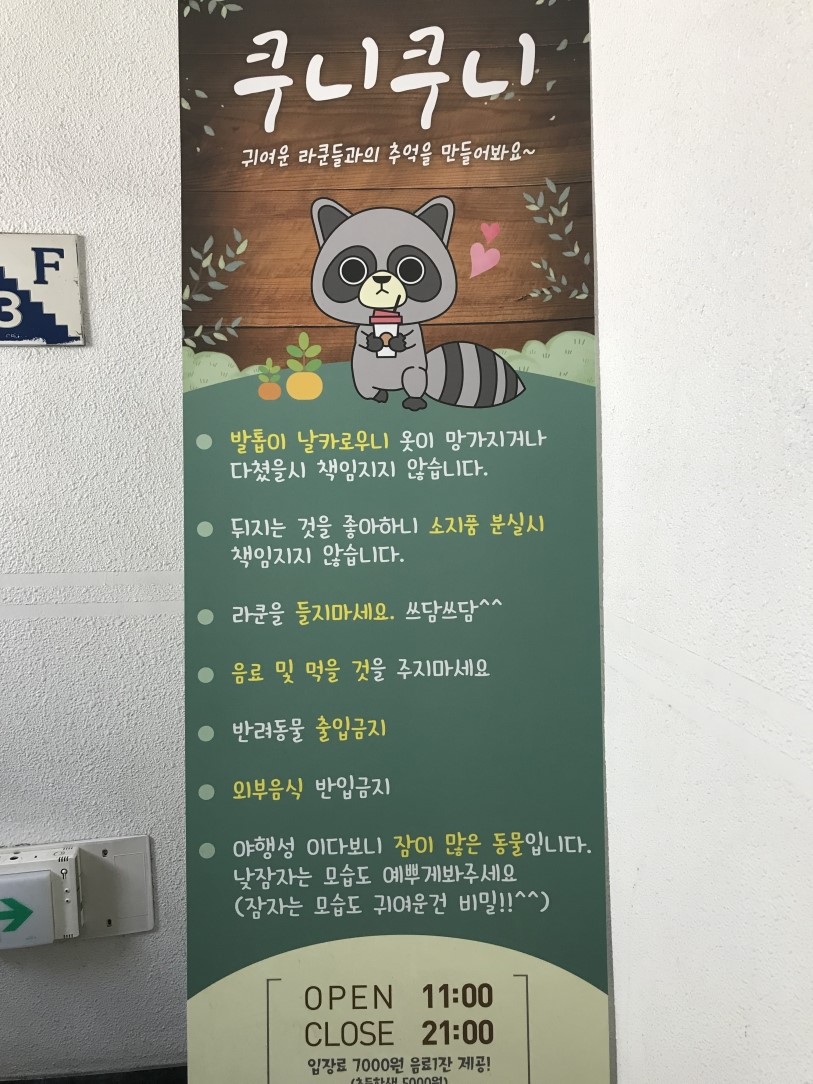 카페놀다 이미지