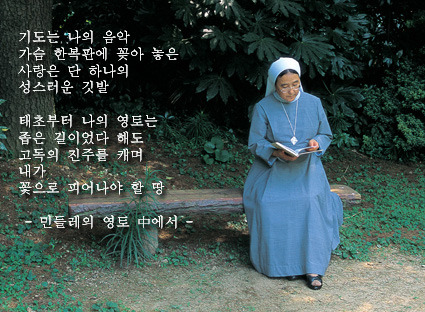 다은홈케어 이미지