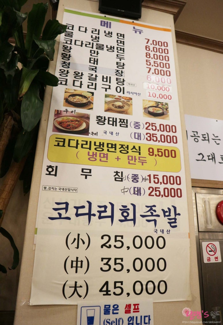 30년전통속초코다리냉면 이미지