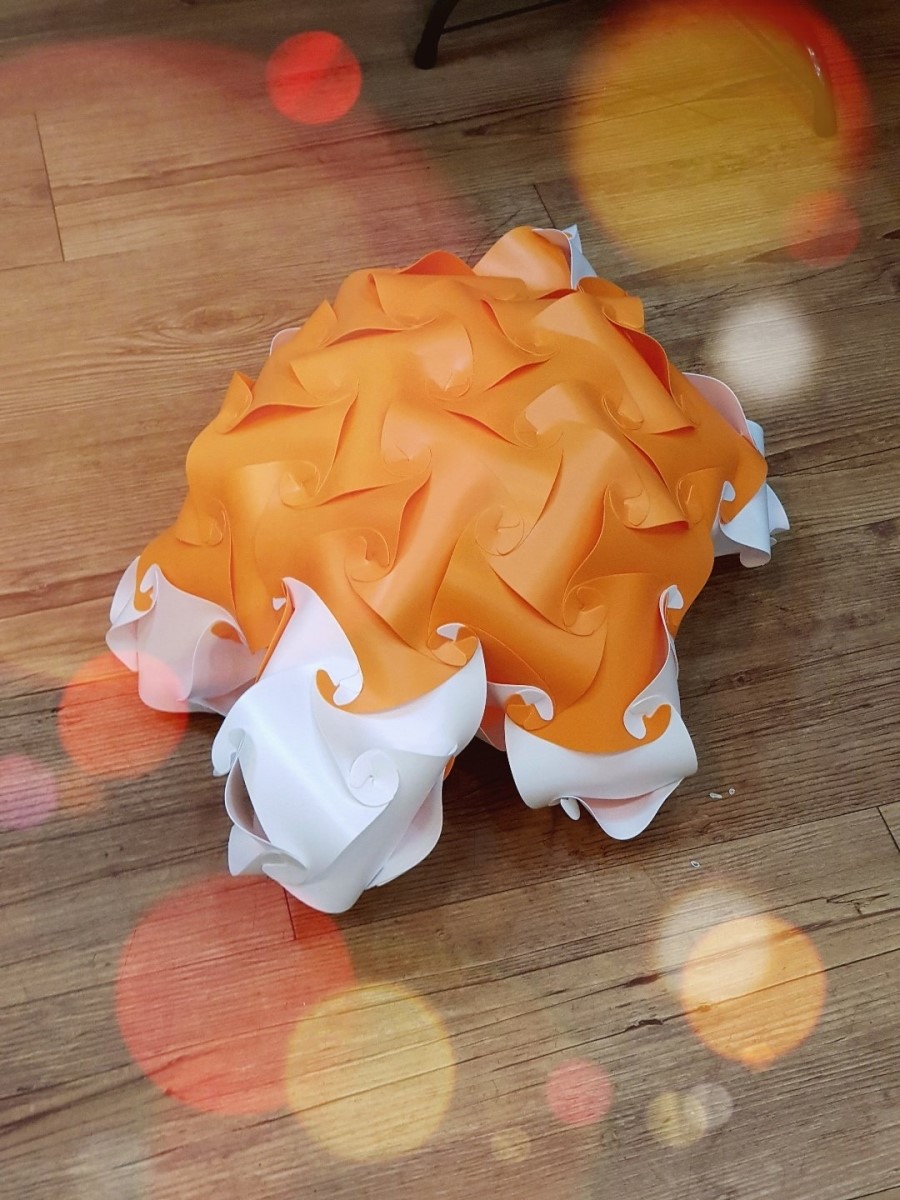 다이스큐브 이미지