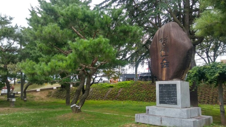 고래고래생고기 이미지