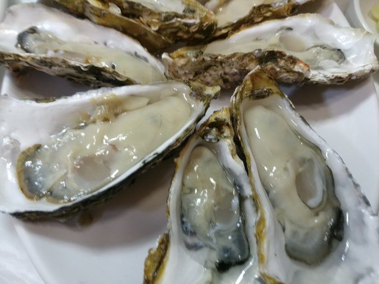 용암동족발명장 이미지