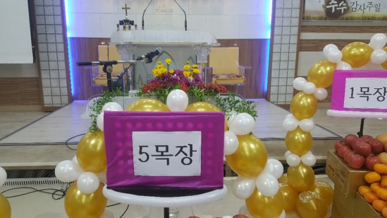 낙원풍선 이미지