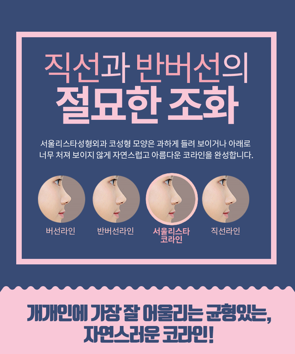 서울리스타 이미지