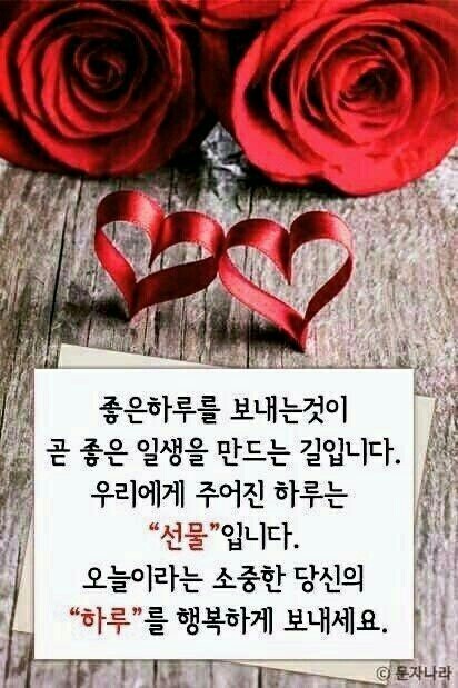 지은카페플라워 이미지
