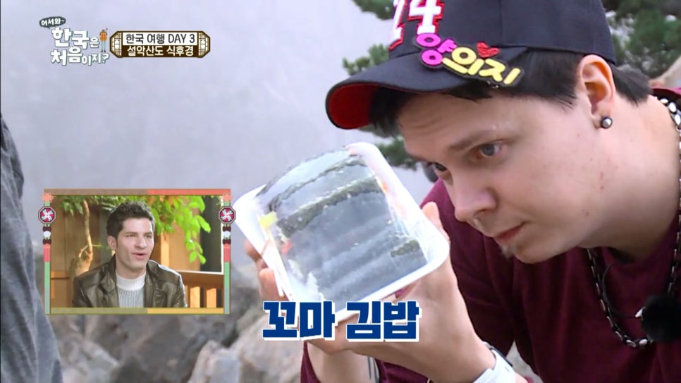 오징어 와 친구들 이미지