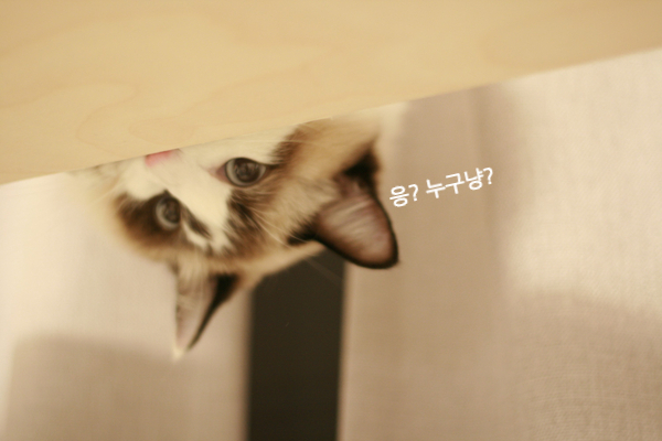 얼웨이즈데어 이미지