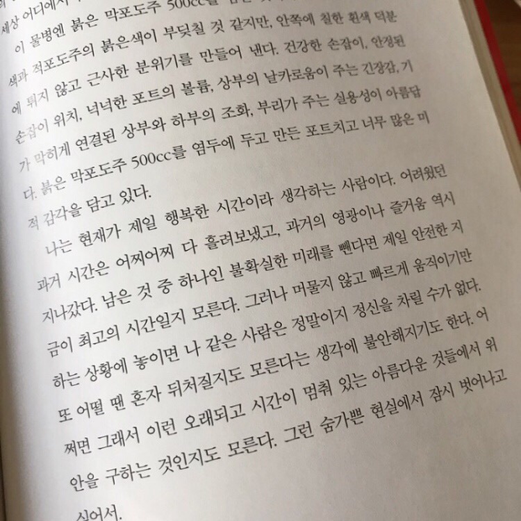 헤이서귀포 이미지