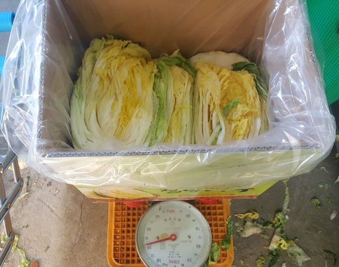 맛나유통 이미지