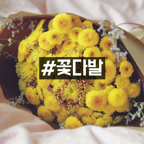 천지연플라워 이미지