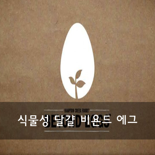 비욘드푸드 이미지