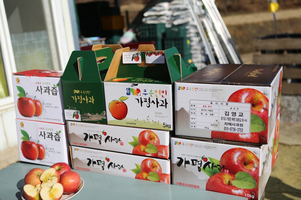 오삼삼칠 이미지