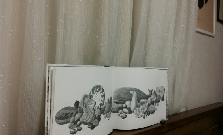보림콜렉션 이미지