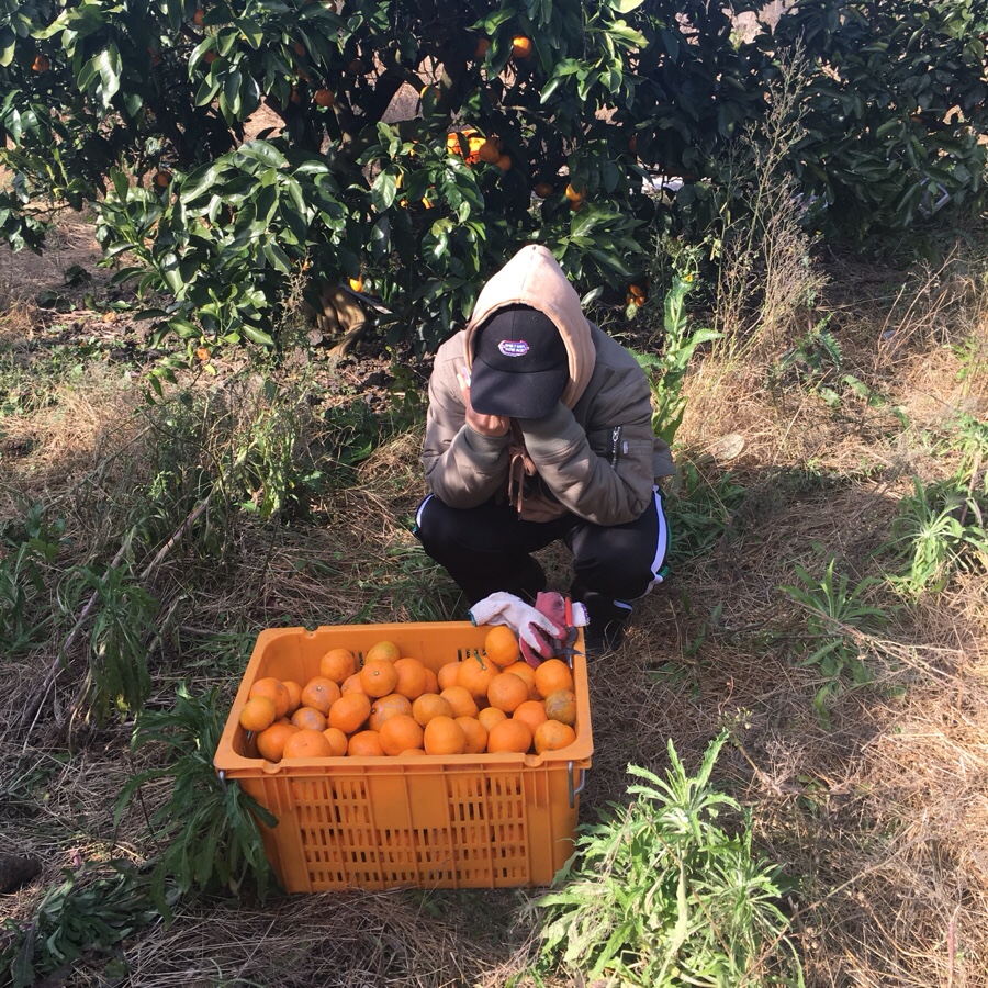 서울문구사 이미지