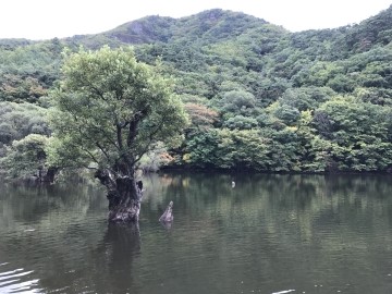 주왕산농원식당 이미지