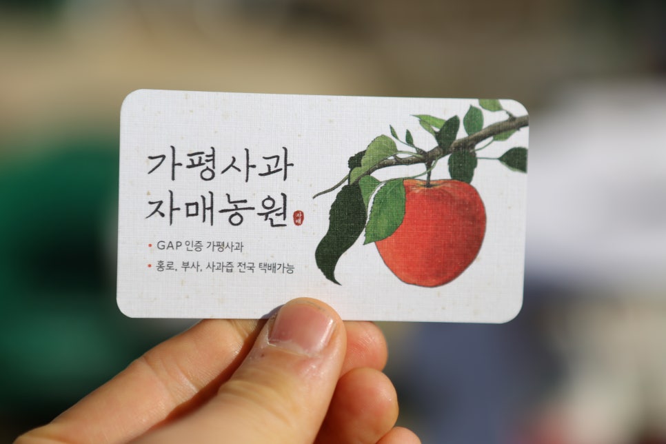 오삼삼칠 이미지