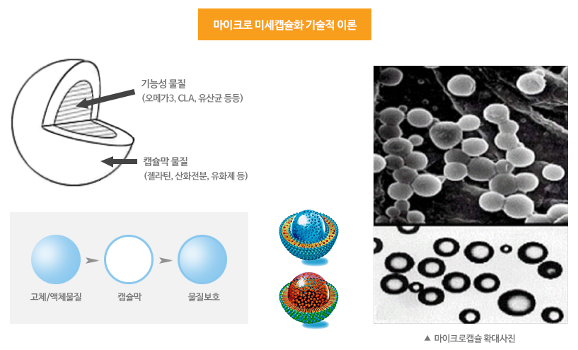 (주)케비젠 이미지