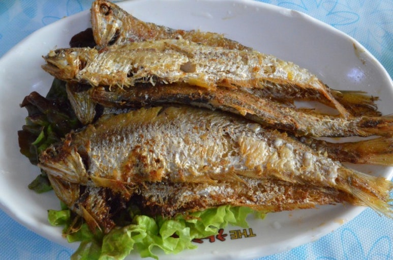 연백호 이미지
