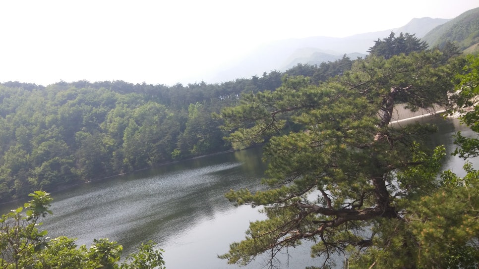 삼척현대주유소 이미지