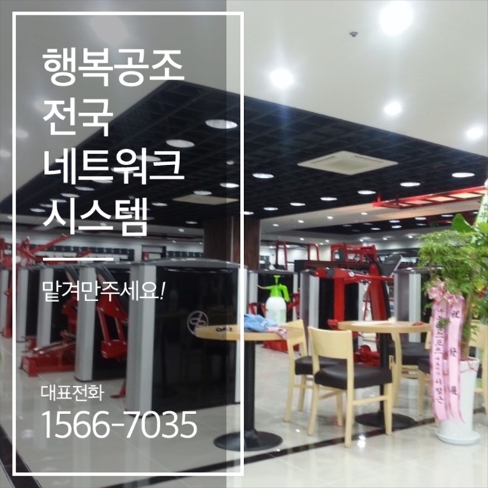 요기당 이미지
