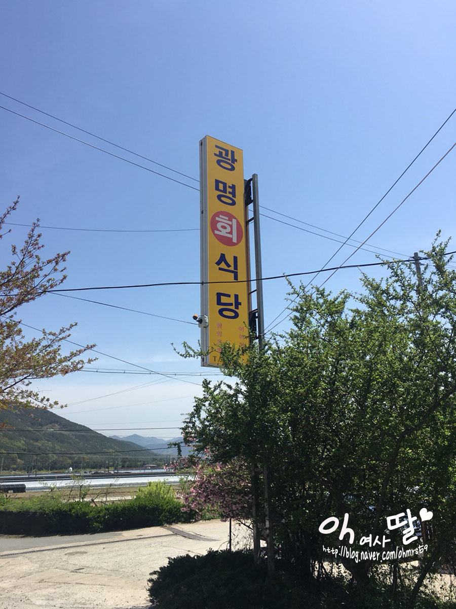 광명회식당 이미지