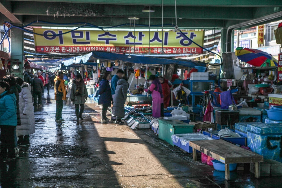 시장복어 이미지